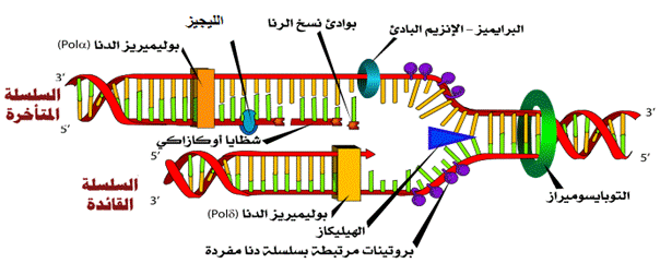 clip_image615